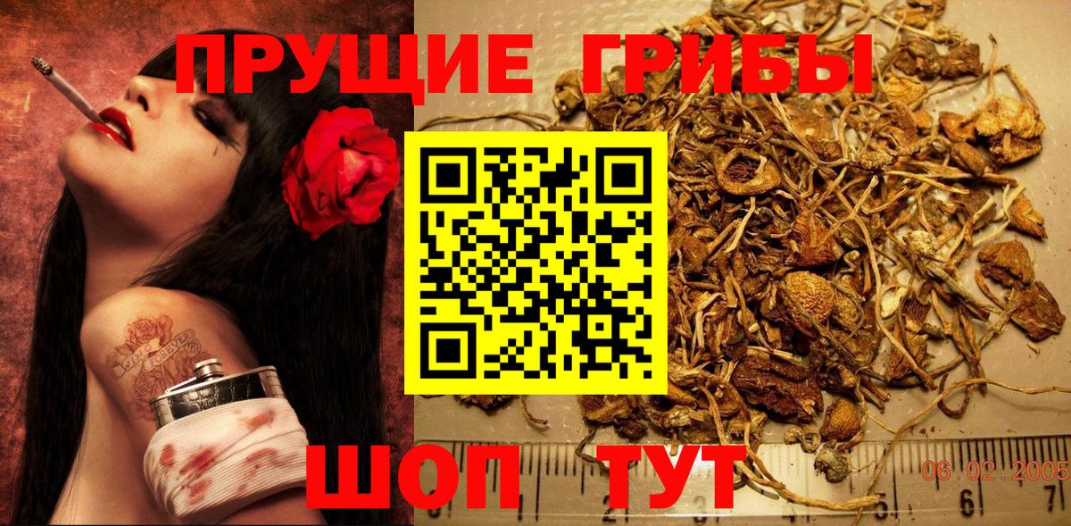 Галлюциногенные грибы Cubensis  Вход с VPN  дарнет шоп  Дальнегорск  Галлюциногенные грибы Magic Shrooms 